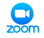 ZOOM Logo