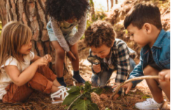 4 children outside all, using a magnifying glass to look at the green leaves and dry leaves